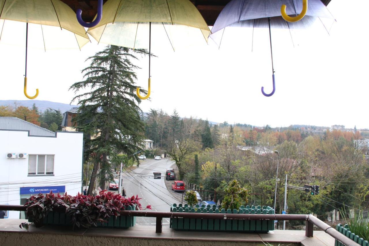 Tskaltubo Hotel Terrace エクステリア 写真